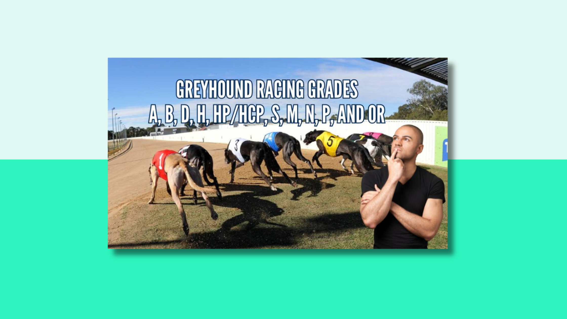 Image of 7 greyhounds racing with wording greyhound grades a,B,D,H,HP,S,m,N,P & OR above them